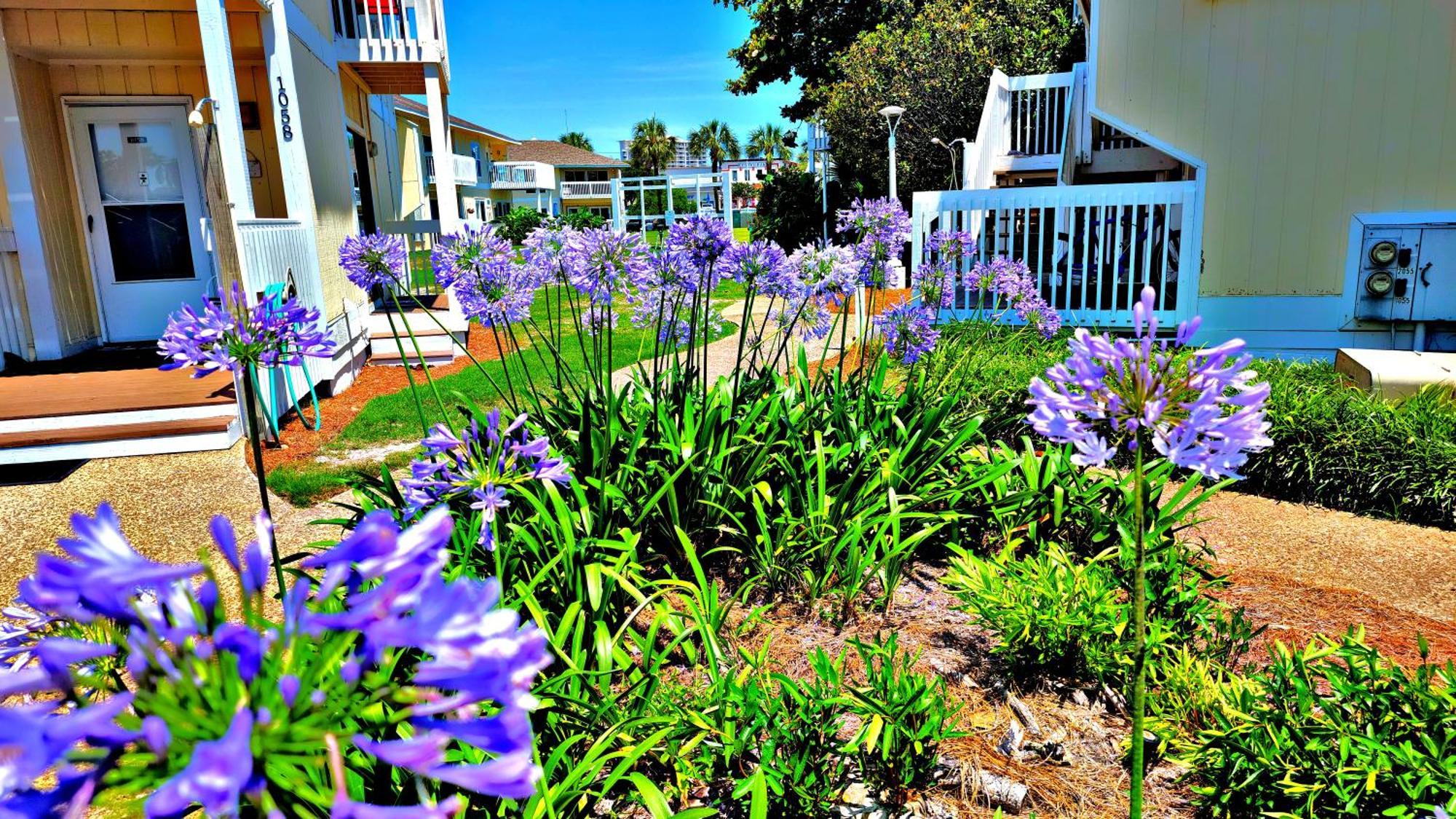 Boathouse Condo, Downtown Destin Harbor, Private Beach Access, Waterfront, On Golf Course, Water Taxi Pickup Exterior photo